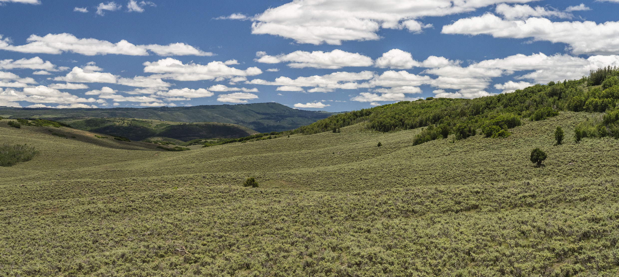The ridgeline terrain for Ambush at Marcella Club before shaping, near Park City Utah