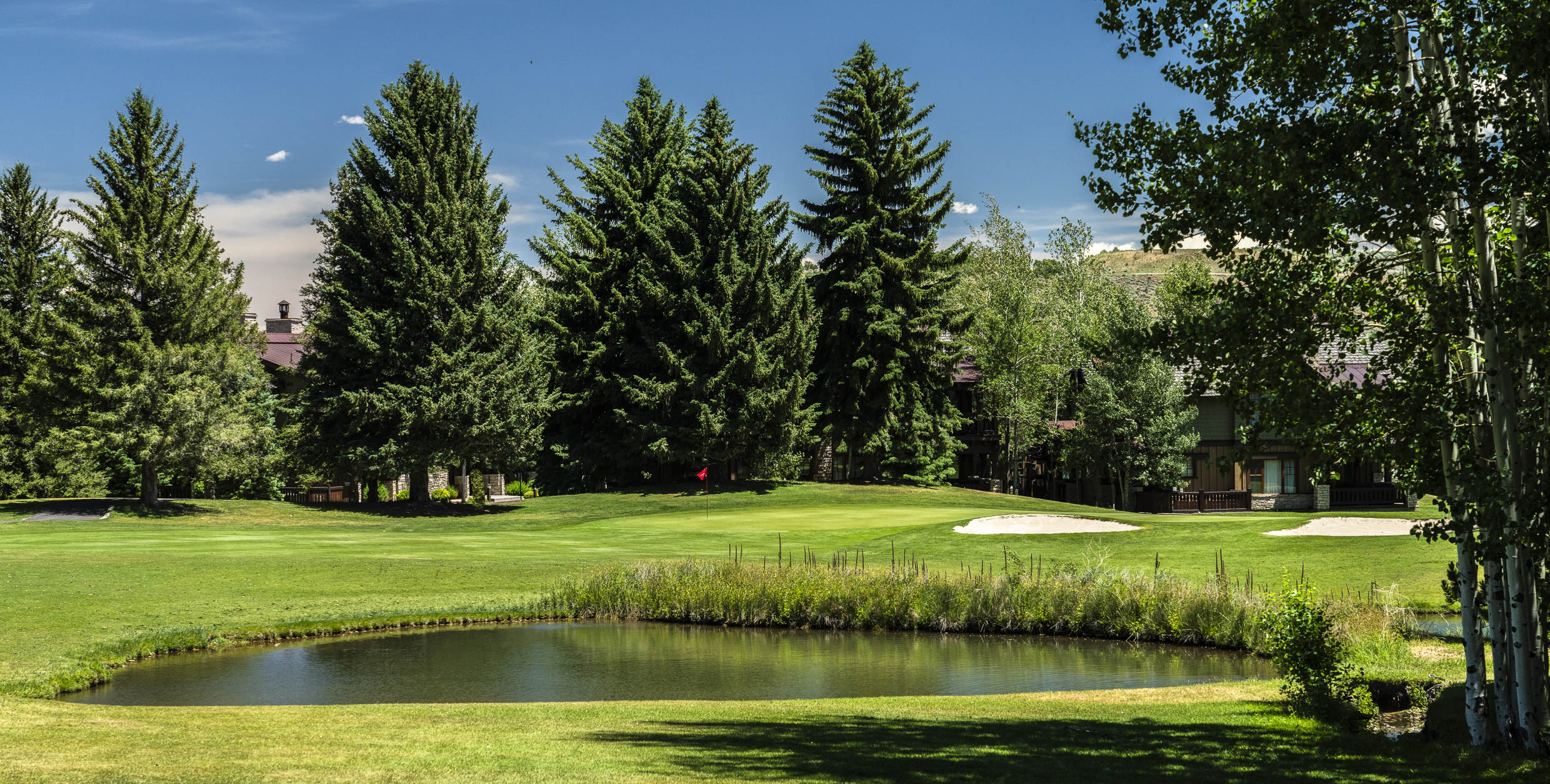 Park City Golf Club green with pond and mature spruce, Park City, Utah